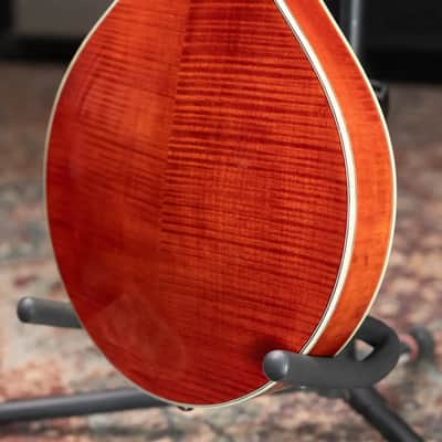 Eastman MD805 A-Style Mandolin with Softshell Case image 9