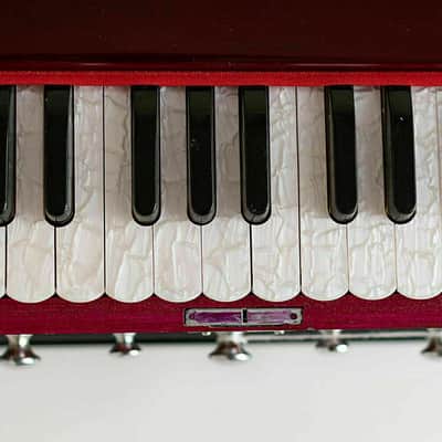 Harmonium 9 Stopper Chudidaar Indian Style Best Bellow 42 Key Two Reed Bass-Male image 4