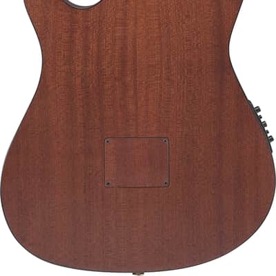 Ibanez FRH10NBSF, Thinline Nylon Acoustic Electric Guitar - Brown Sunburst image 3