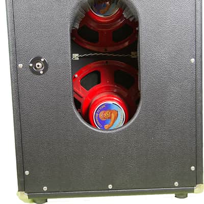 Two-Rock Opal #38 (of 54). Tone Tubby 2x12 Alnico Hempcone Cabinet image 10