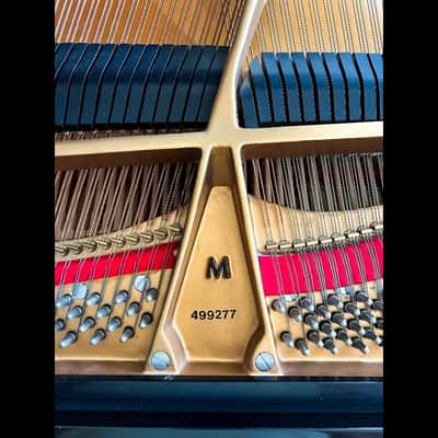 Steinway & Sons Model M Grand Piano – One Owner | Like New image 6