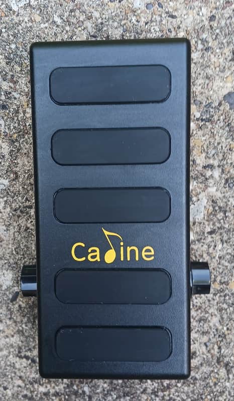 Caline CP-31p 2024 - black image 1