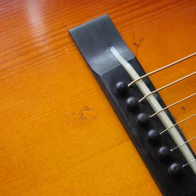 EASTMAN Antique Varnish E22OOSS/V Sunburst, HARDCASE image 5
