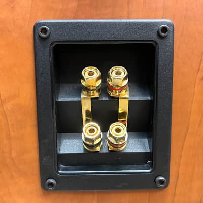 Axiom M80Ti Loudspeakers (Pair) - Warm Cherrywood Blonde - Local Pickup Only in Milwaukee, WI image 5