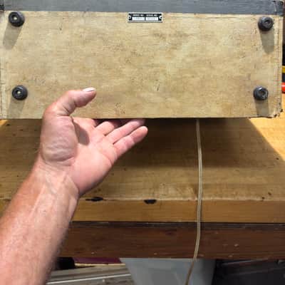 Kay 804 vibrato amp Mid 60’s image 8