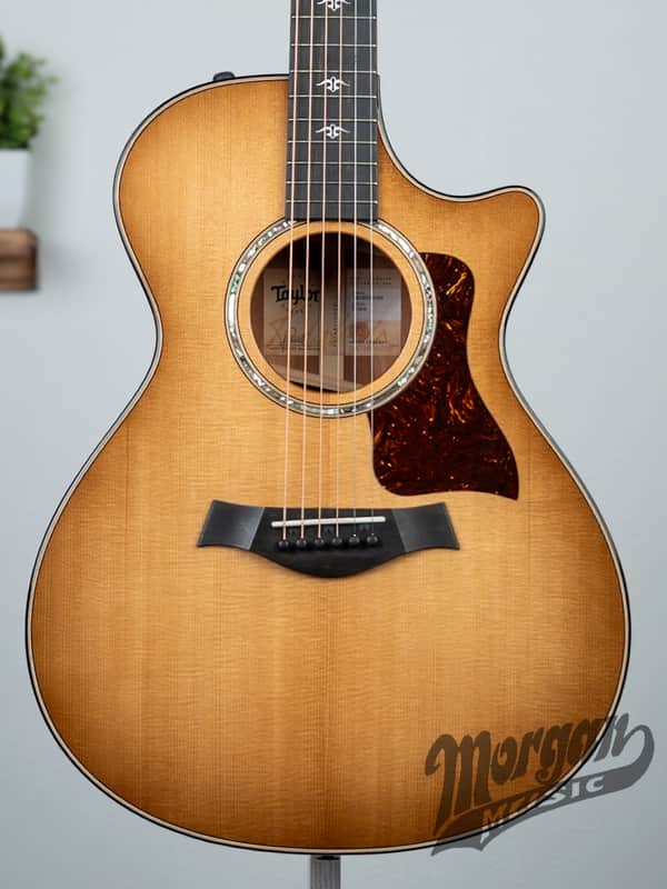 Taylor 512ce Urban Ironbark- Tobacco image 1