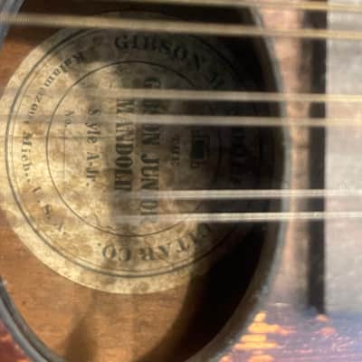 Mandolin Gibson A-Jr Gibson 1906-1908  - Mahogany Walnut image 7