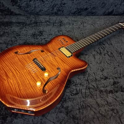Godin Multiac Jazz SA - Lightburst image 14