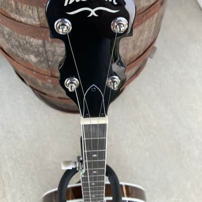 Washburn B11K-A W/Hard Case image 5
