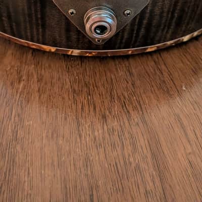 FinMc F5 2023 image 6