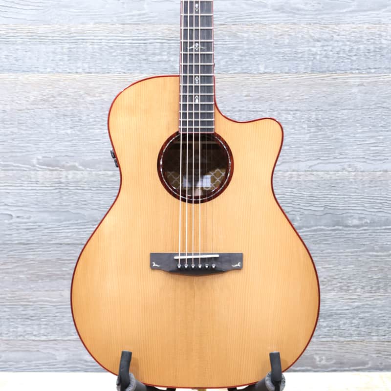 Cort Gold-A10 Cocobolo Torrefied Spruce Top Acoustic Electric Guitar w/Case image 1