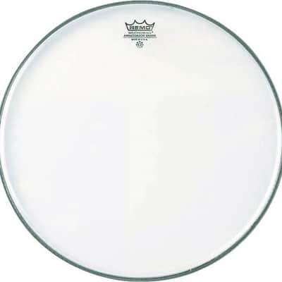 Remo Ambassador Hazy Snare Side Drum Head 14"