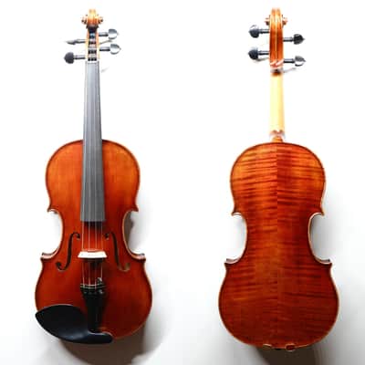 GEWA Mittenwald Karwendel 4/4 Size Violin with Case and Bow | Reverb