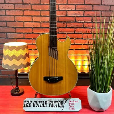 Washburn AB-20  90's Gloss Natural Wood With Hard Case image 1