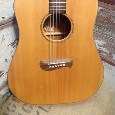 Tacoma DM9 Dreadnought Acoustic Guitar image 1