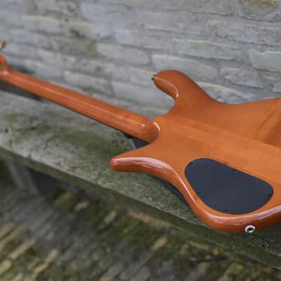 Spector Doug Wimbish Euro 4 Signature Model - Amber Stain Gloss image 12