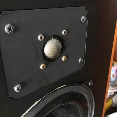 Angstrom RPS Speakers 1980s Teak image 1