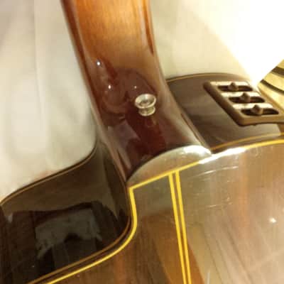 Takamine E30 1989 Acoustic Electric Classical Nylon Vintage Natural image 7