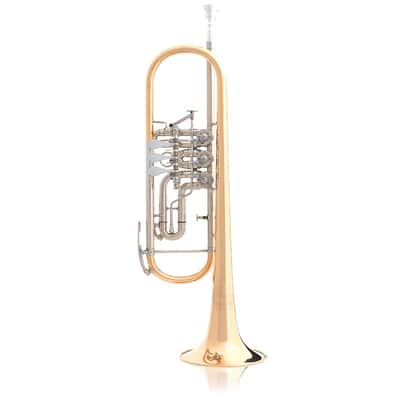 B&S 3005/3TR-L in B image 3