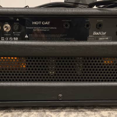 Bad Cat Hot Cat 45 image 4