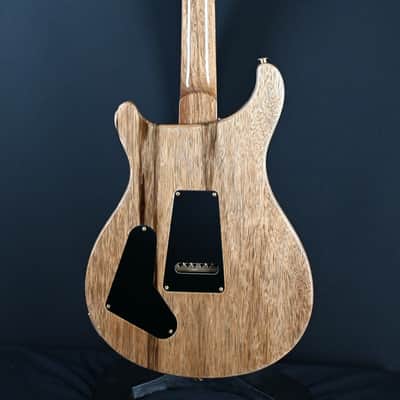 PRS 40th Anniversary Special Semi-Hollow Limited Edition Faded Whale Blue (Natural Back) #755 image 17