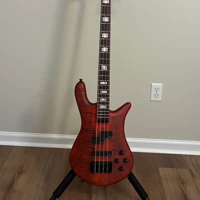 Spector Euro 4 LX 2020 - Present - Trans Black Stain Matte image 1