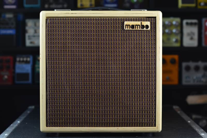 Mambo Amp 10" combo image 1