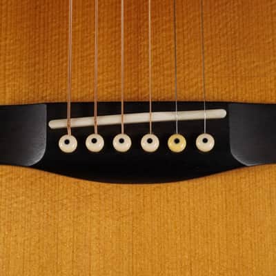 Thompson TM-1 1996 - Natural image 13