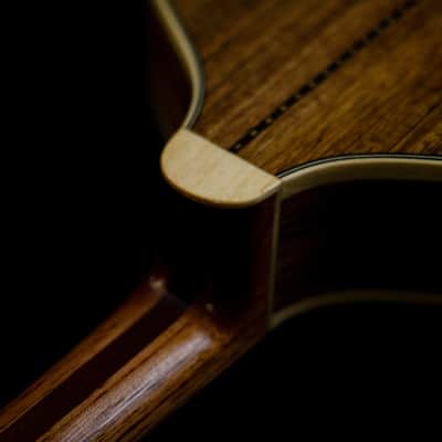 Pedro Santos 8-String Mandolin | Brazil Bild 7