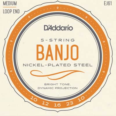 D'Addario Banjo Strings Nickel Steel Loop End Medium EJ61 image 1