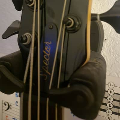 Immagine Spector Q5 Pro 5 String Emghz 35" scale
W/ tan Ibanez Power Pad (Soft Case) - 4