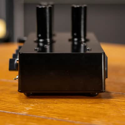 D. Kowalski Dark Gene .5W Mini Tube Amp - Used image 7