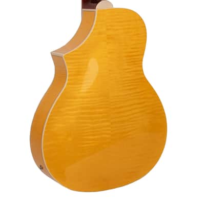 Gold Tone Mojo Flamed Solid Maple Top Mahogany Round Neck Resonator Guitar with Pickup & Hard Case image 2