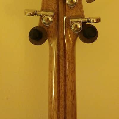 New Orleans Guitar Company Voodoo Custom image 12