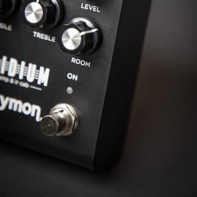 Strymon Iridium Amp & IR Cab image 4