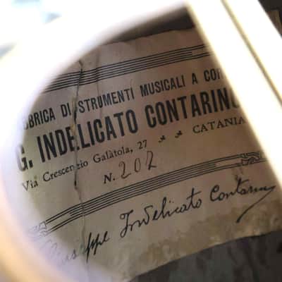 Giuseppe Indelicato Contarino Neapolitan Mandolin - c. 1910 - Made in Catania, Italy image 22