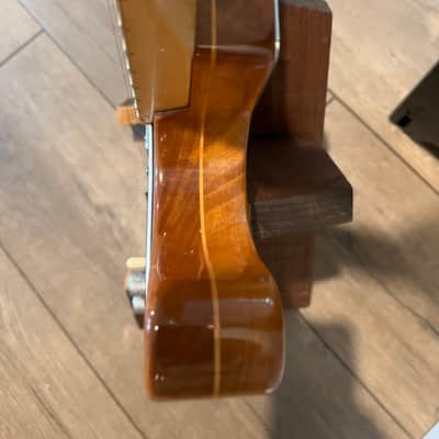 Electra Thinline 70s Telecaster Style image 10