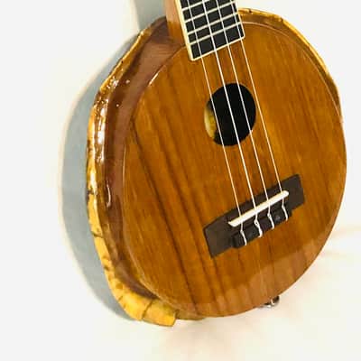 Turtle Shell Concert Ukulele image 10