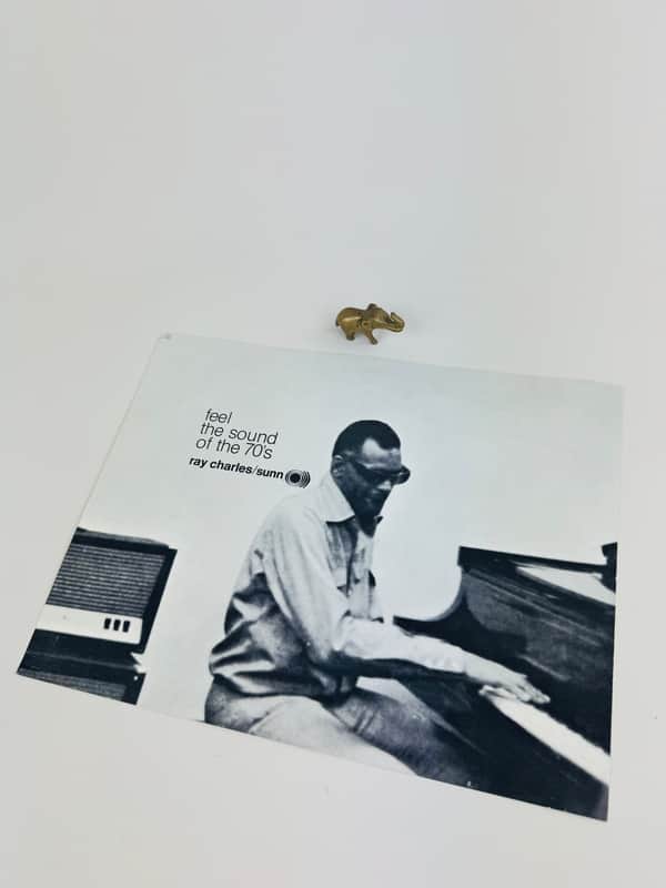 Sunn Ray Charles Promotional Photo 1970 image 1