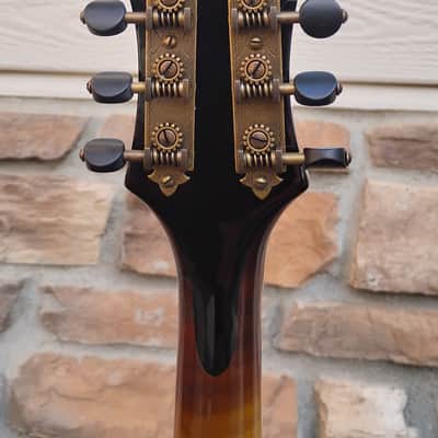Holst F-4 Hybrid 2023 - Sunburst image 10
