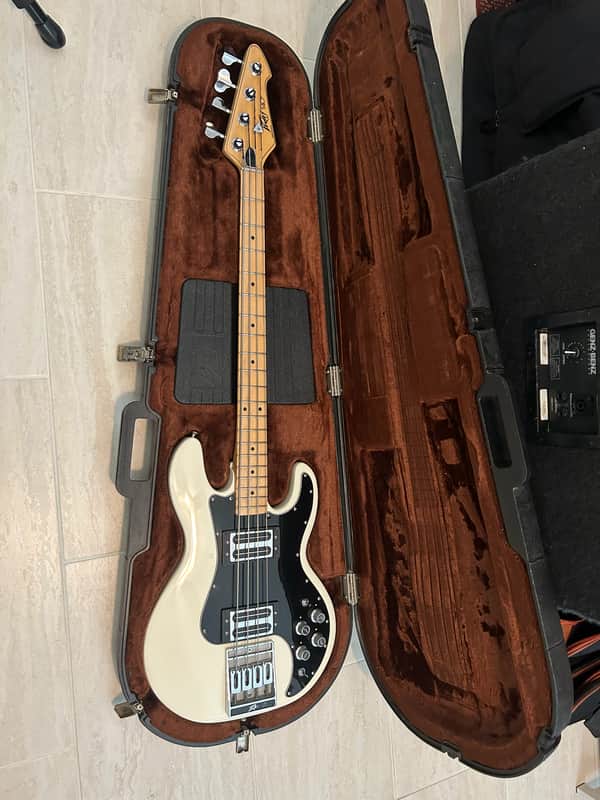 Peavey T-40