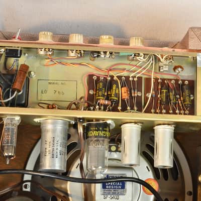 DeArmond R5T 1960 - Tan Tolex- very clean image 15