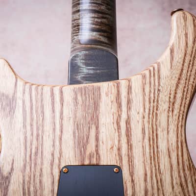 PRS USA Paul Reed Smith Wood Library Modern Eagle V "Custom Colour + Rosewood" (2022) image 15