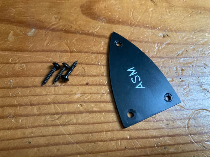 BC Rich ASM Guitar Truss Rod Cover 2003 image 1