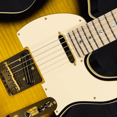Fender Richie Kotzen Telecaster MN - Brown Sunburst - b-stock image 18