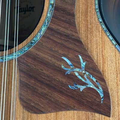Taylor Presentation Series PS52ce 12-string Acoustic-electric image 5