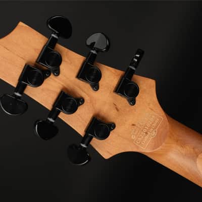 Schecter C-1 Standard in Back Fade Burst Burl image 6