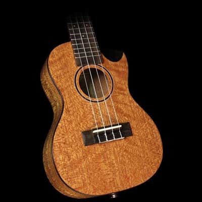 Journey UC770CE - Solid Top Meranti Electric Concert Ukulele w/Case image 9