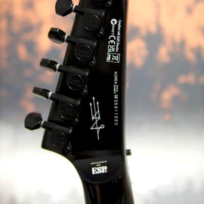 ESP LTD SD-2 Sammy Duet Signature + ESP Hard Case image 15