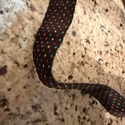 Ace Vintage Guitar Strap 80s? image 6